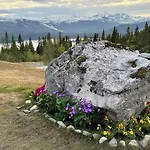 Liaplassen Timber Beitostolen
