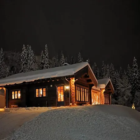 Prázdninový dům Liaplassen Timber Beitostolen