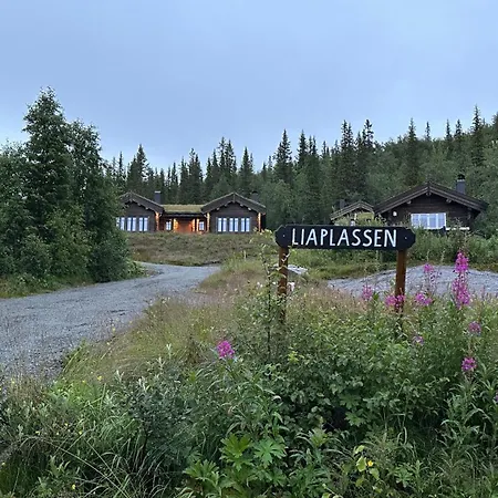 Liaplassen Tommerhytte