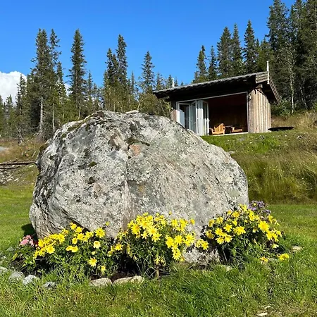Liaplassen Tommerhytte
