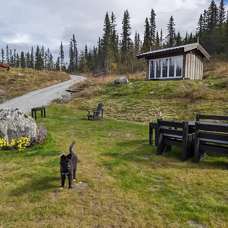 Liaplassen Tommerhytte Holiday home Beitostolen