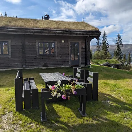 Liaplassen Tommerhytte