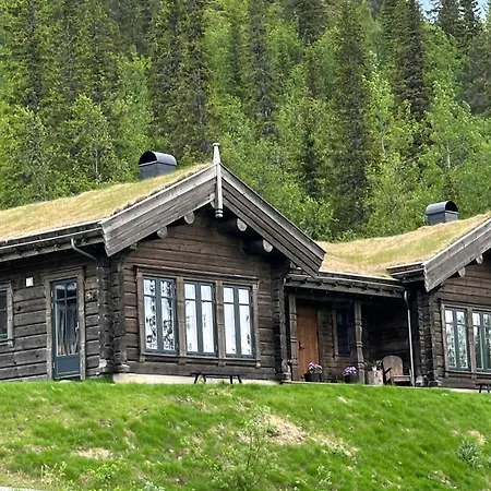 Liaplassen Tommerhytte Holiday home