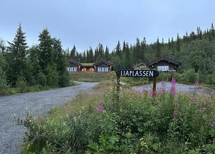 Liaplassen Timber