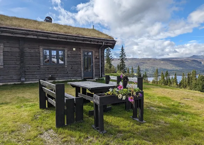 Liaplassen Timber