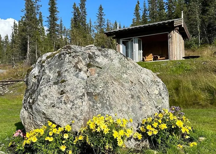 Liaplassen Timber