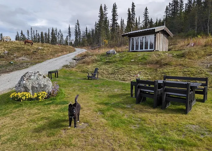 Liaplassen Timber 펜션 Beitostolen