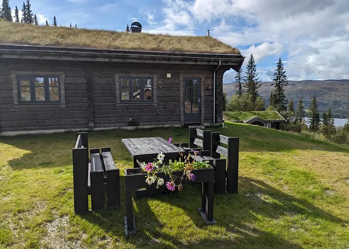 Liaplassen Timber